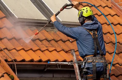 Démoussage et hydrofuge de toiture aux Bizots
